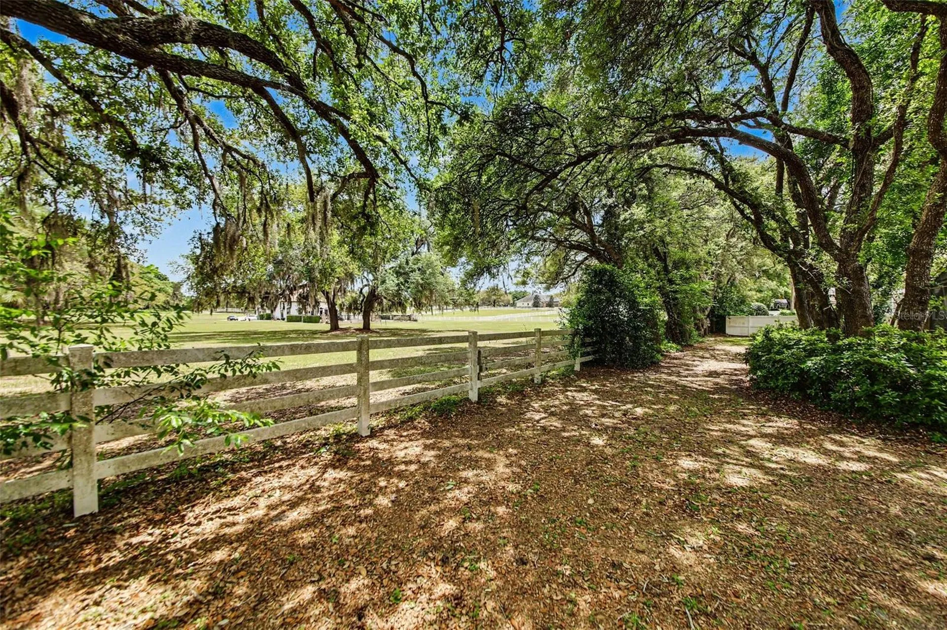 4323 Caledonia Avenue Apopka FL 32712