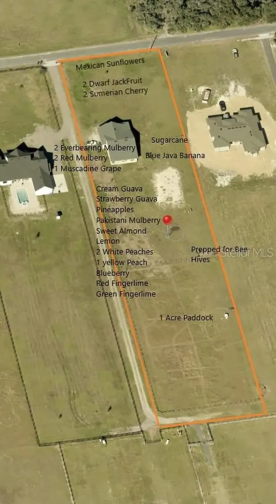 3063 English Road Plant City FL 33567