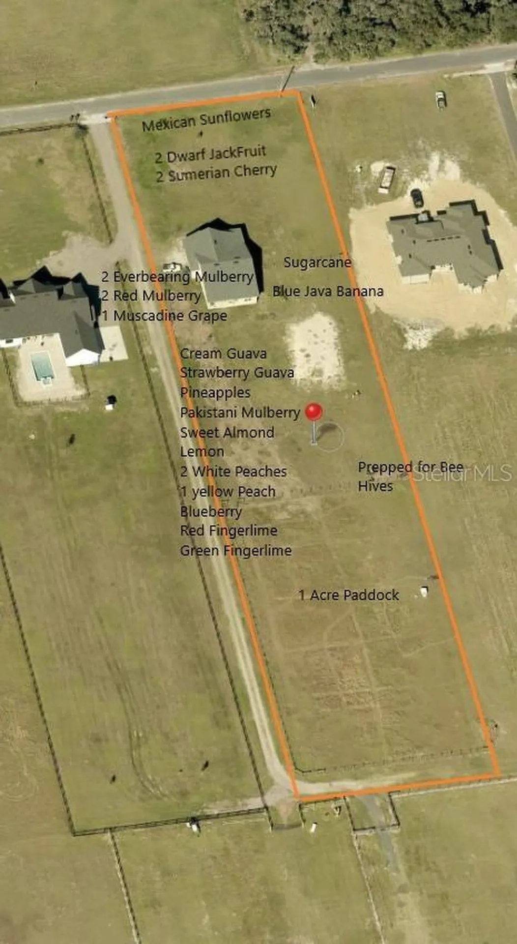 3063 English Road Plant City FL 33567