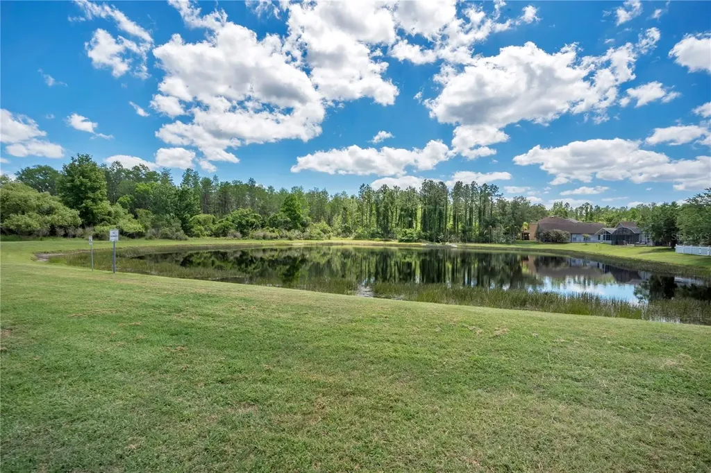 1143 Willow Branch Drive Orlando FL 32828
