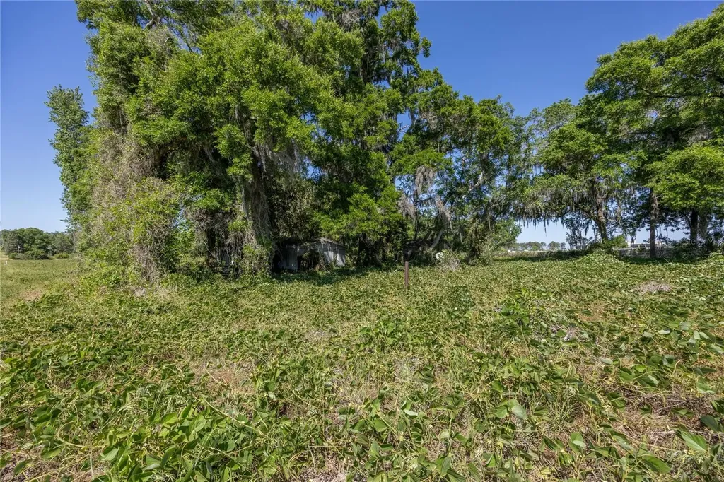 15611 NW 173rd Street Alachua FL 32615