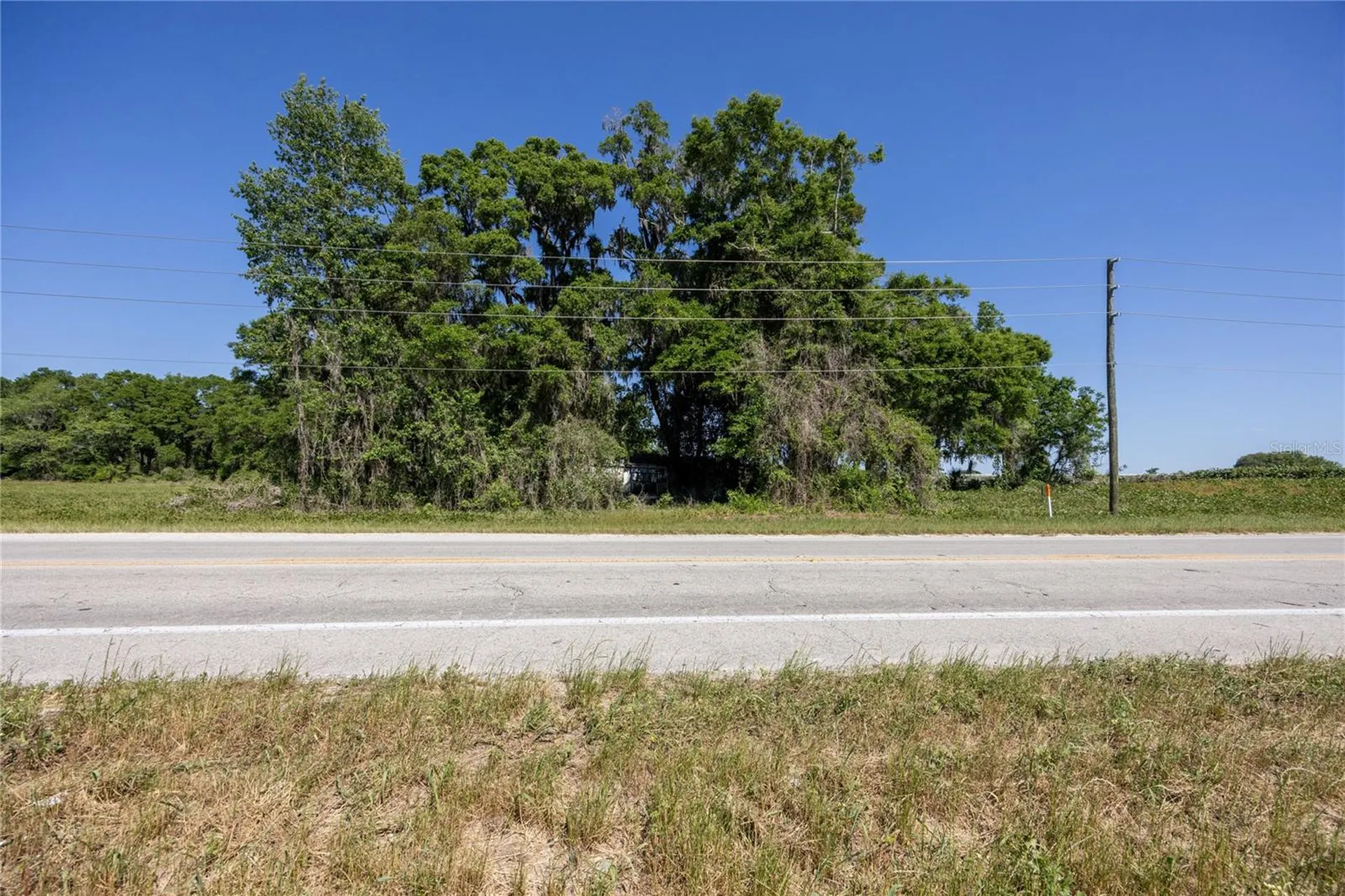 15611 NW 173rd Street Alachua FL 32615