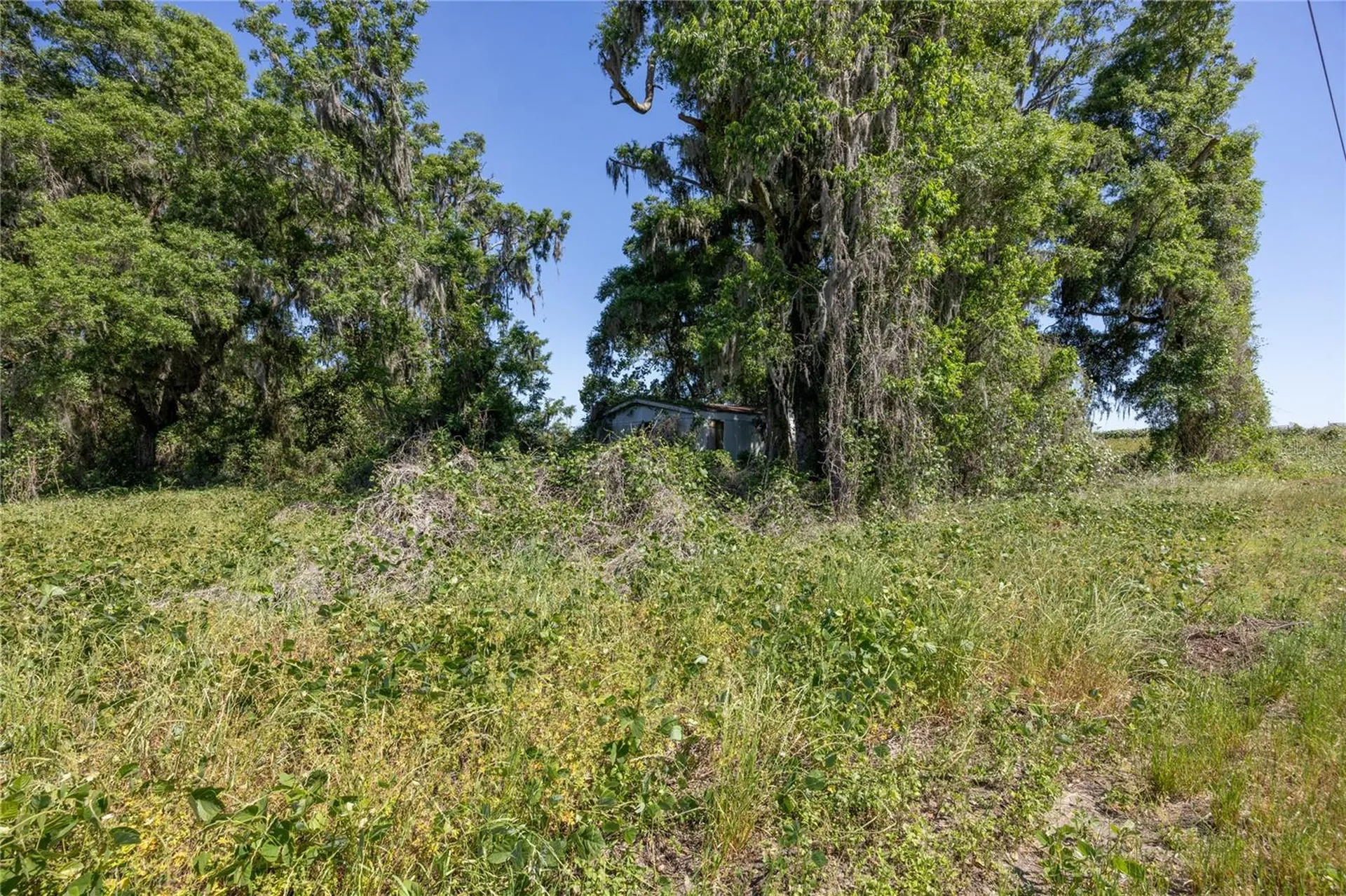 15611 NW 173rd Street Alachua FL 32615