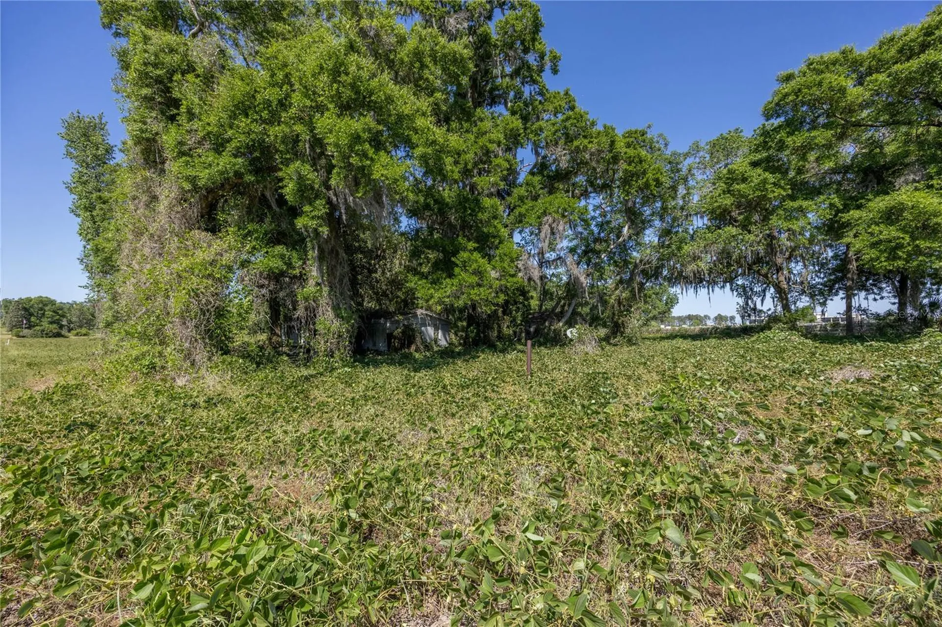 15611 NW 173rd Street Alachua FL 32615