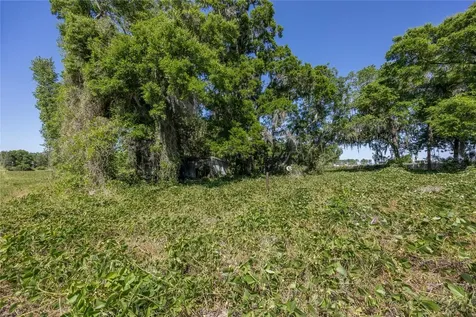 15611 NW 173rd Street Alachua FL 32615