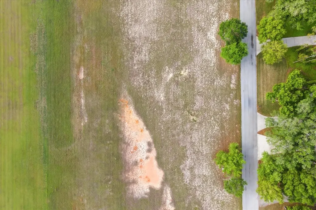 Grass Roots Road Groveland FL 34736