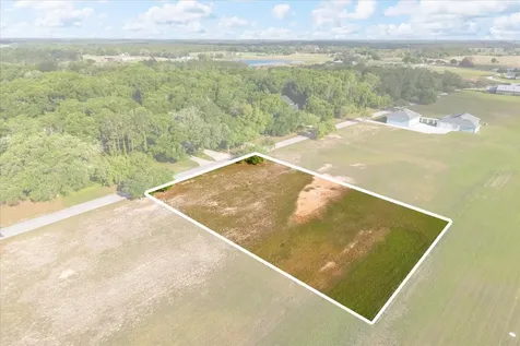 Grass Roots Road Groveland FL 34736
