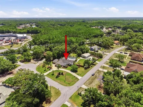 6910 Daubon Court New Port Richey FL 34655