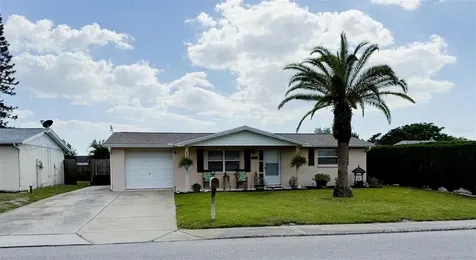 9721 Lake Chrise Lane Port Richey FL 34668