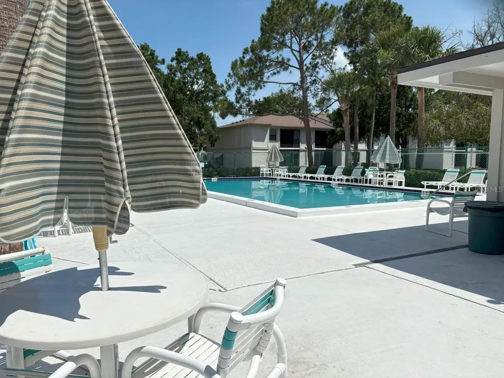 303 Meadow Lane Oldsmar FL 34677