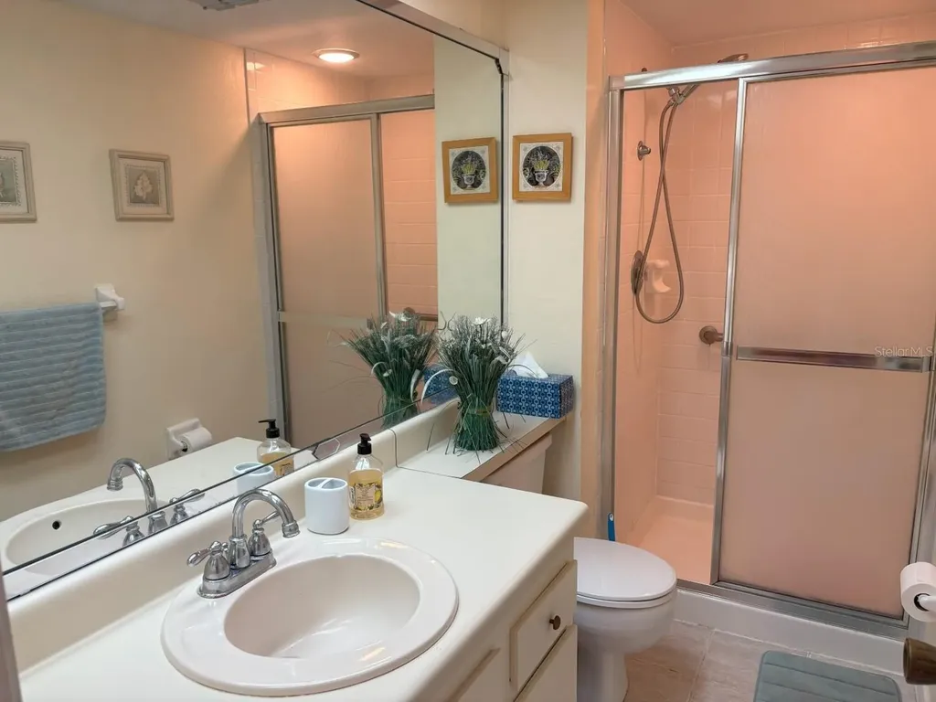 303 Meadow Lane Oldsmar FL 34677