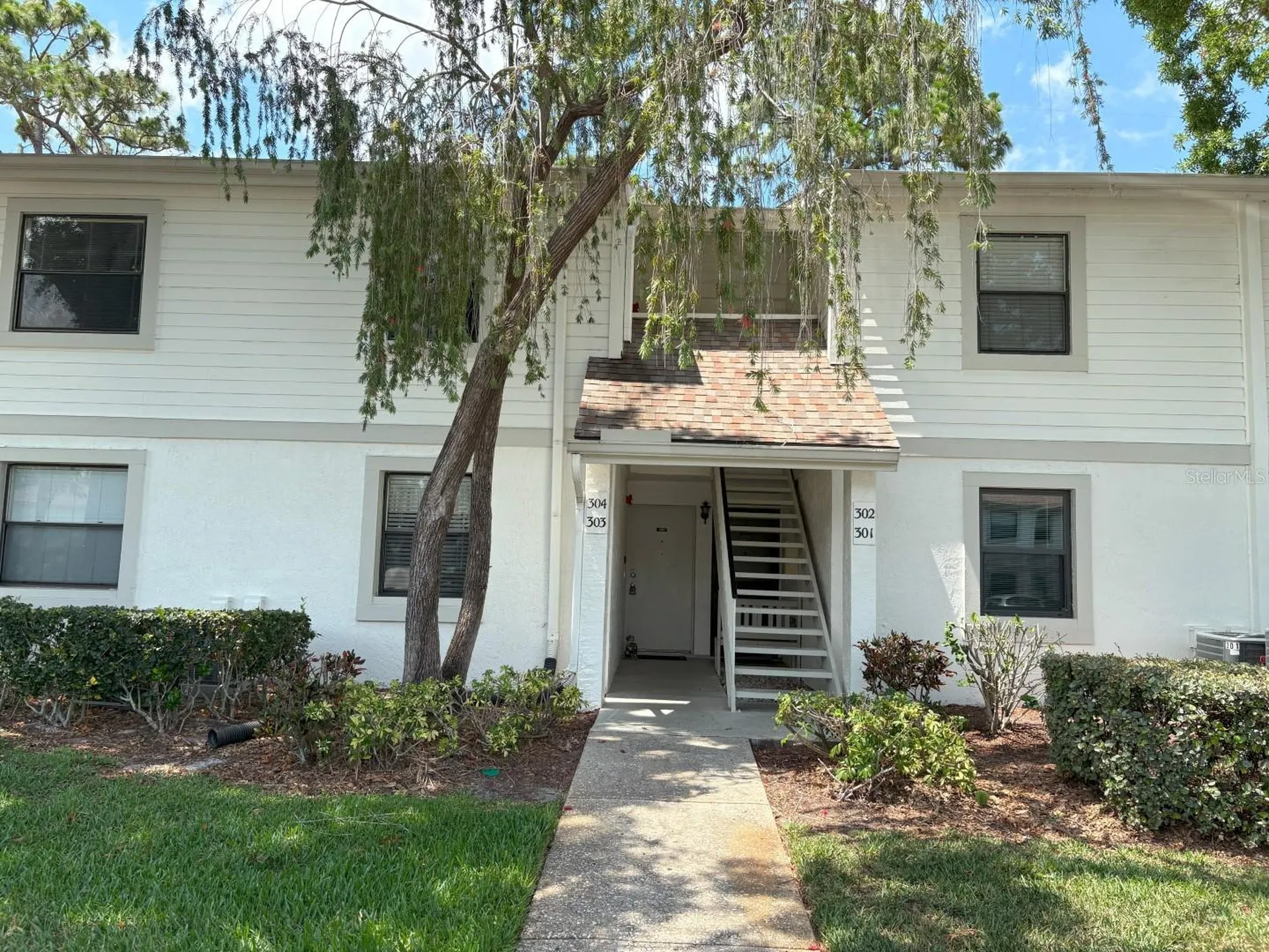 303 Meadow Lane Oldsmar FL 34677