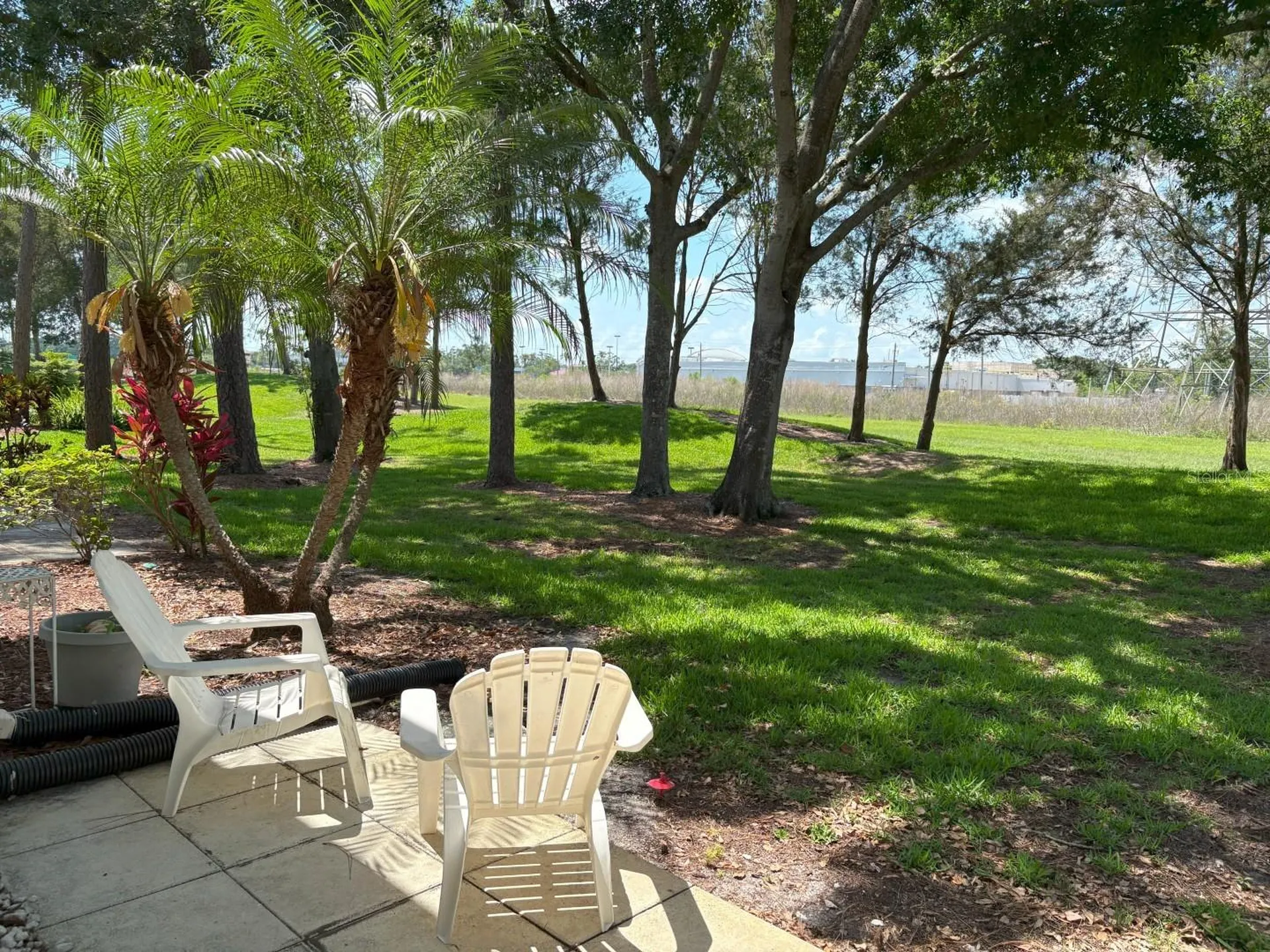 303 Meadow Lane Oldsmar FL 34677