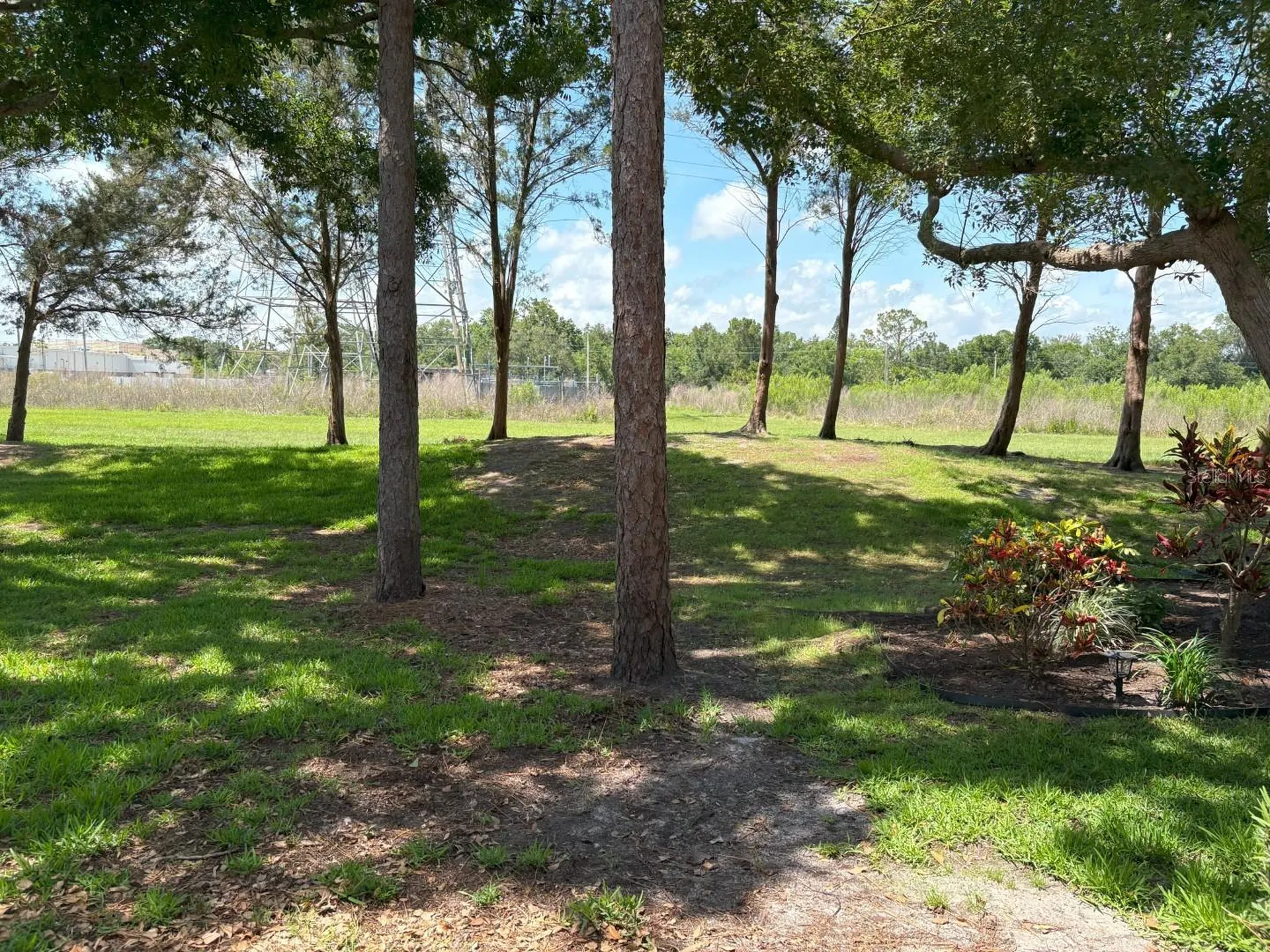 303 Meadow Lane Oldsmar FL 34677