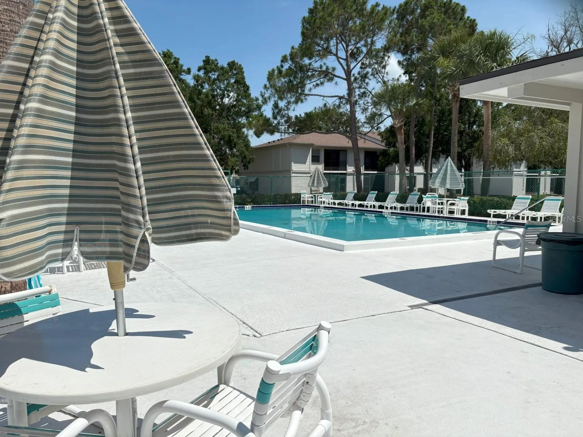 303 Meadow Lane Oldsmar FL 34677