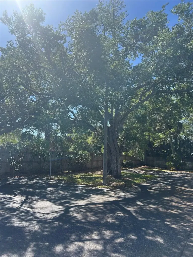 383 S Mcmullen Booth Road Clearwater FL 33759