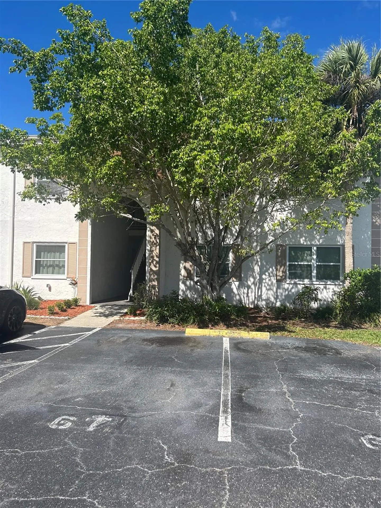 383 S Mcmullen Booth Road Clearwater FL 33759