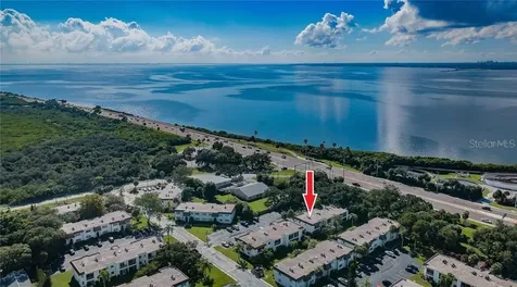 383 S Mcmullen Booth Road Clearwater FL 33759