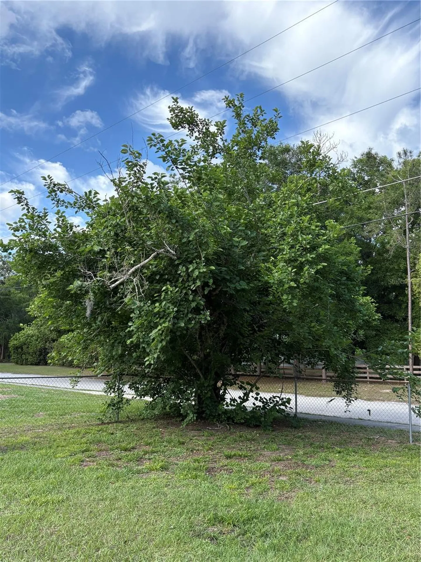 1203 Ustler Road Apopka FL 32712