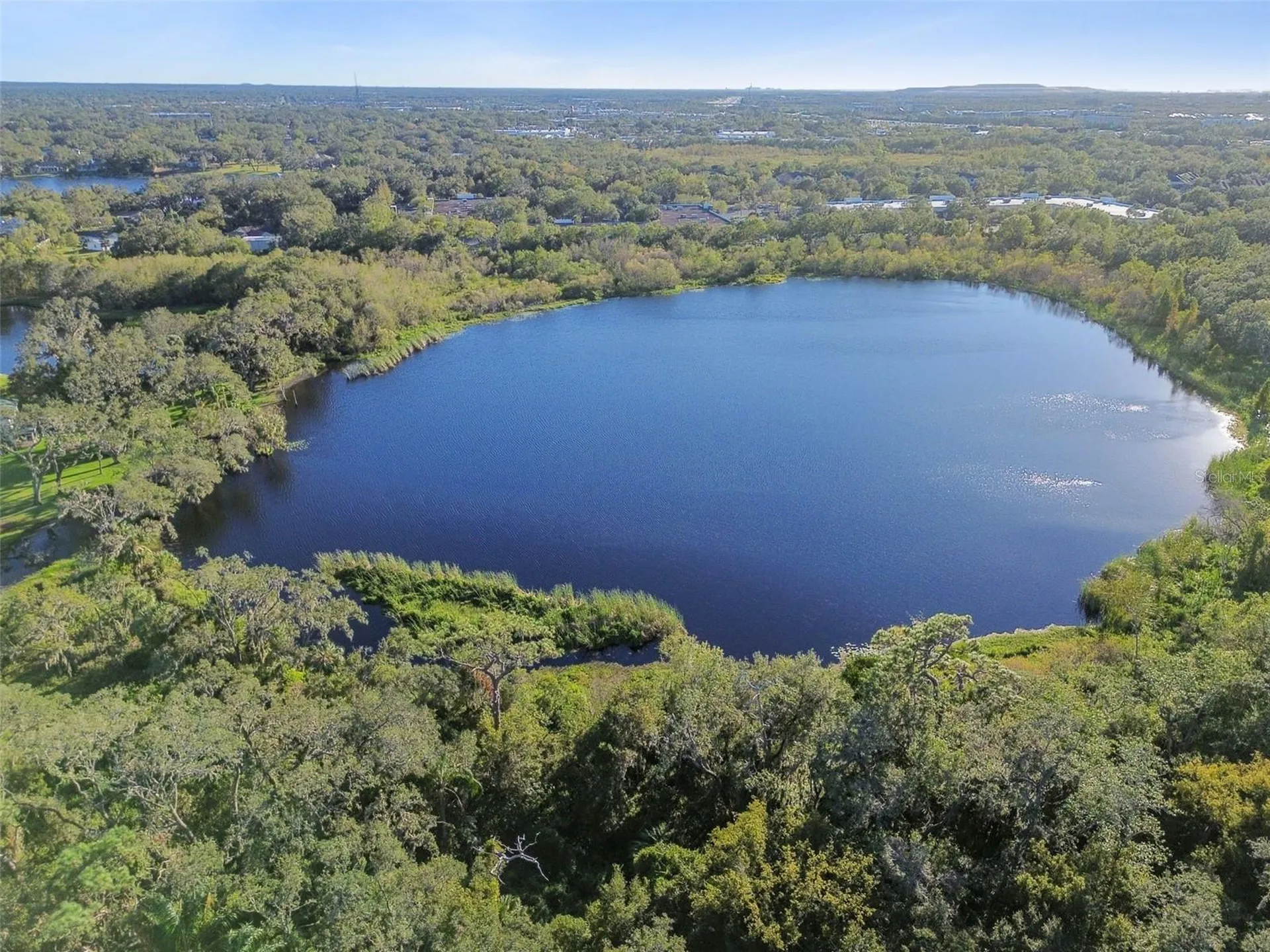 2237 Lake Woodberry Circle Brandon FL 33510