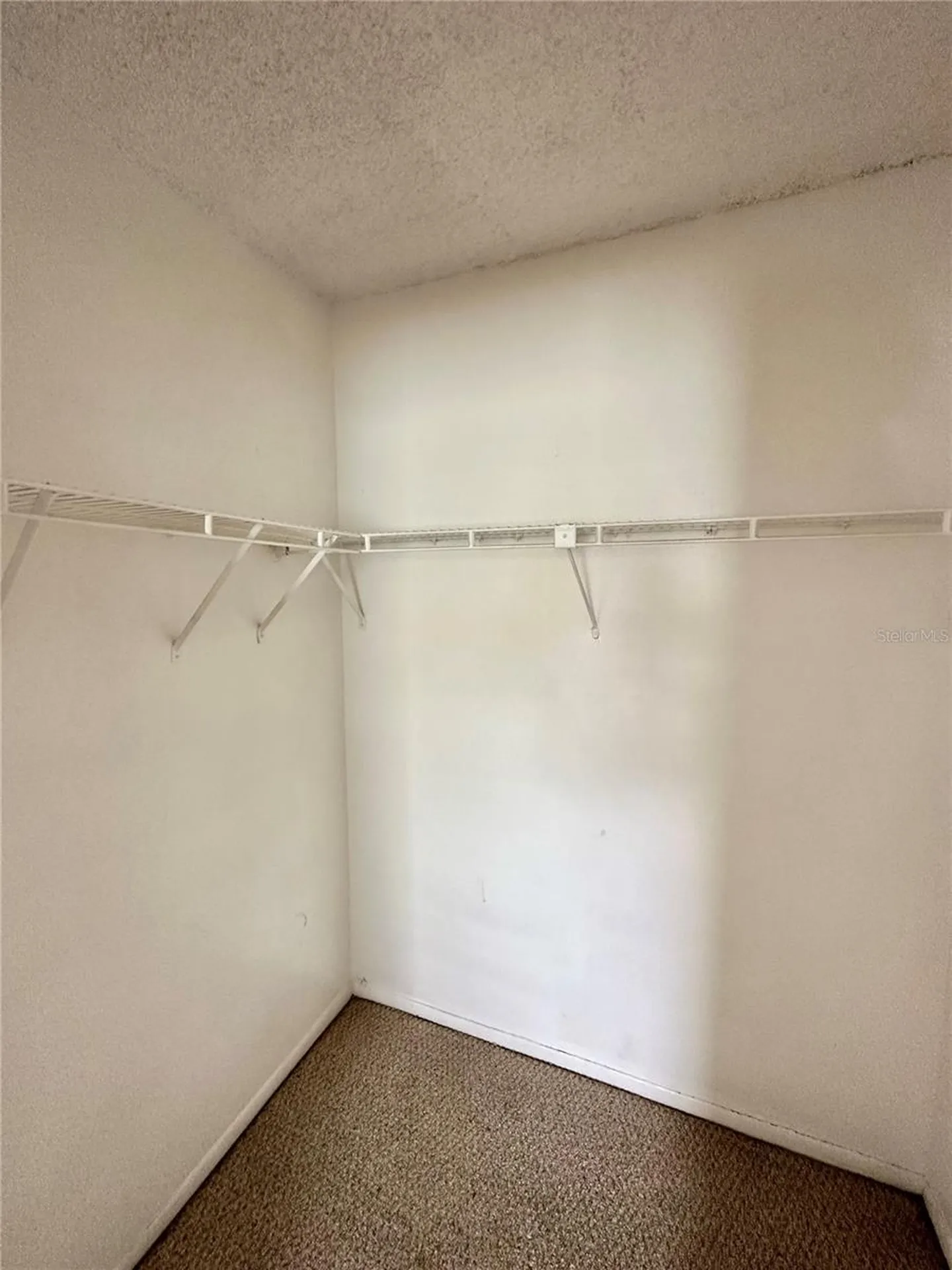 2830 Somerset Park Drive Tampa FL 33613