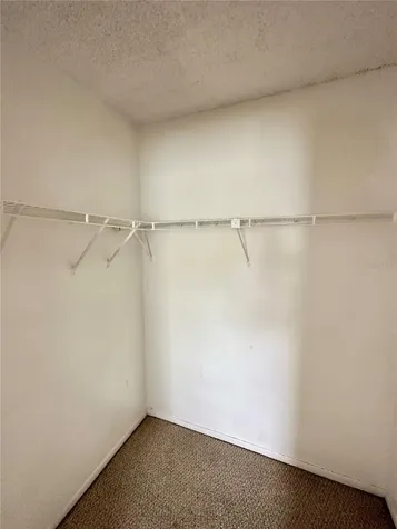 2830 Somerset Park Drive Tampa FL 33613