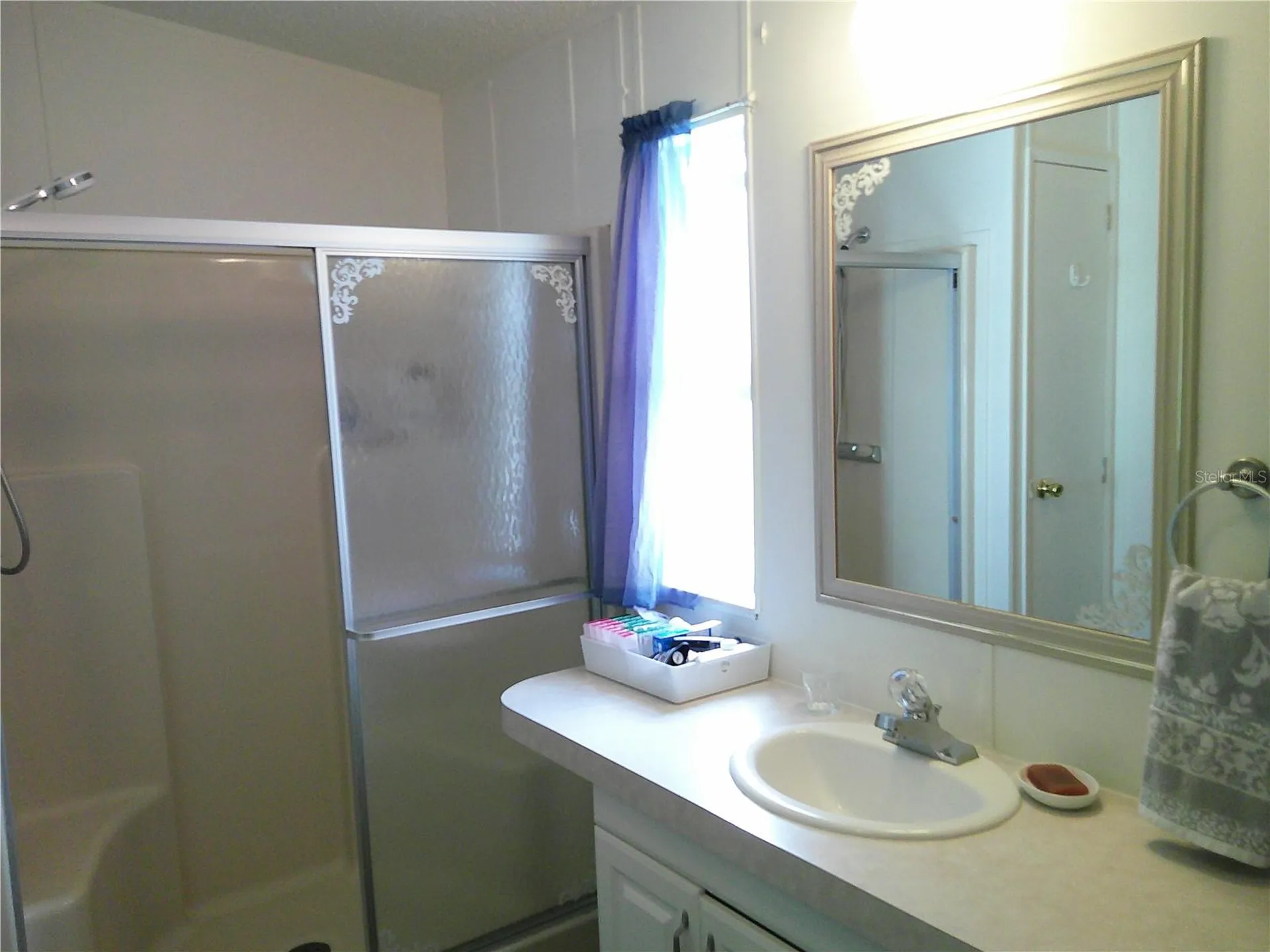 3205 Hickory Drive Wesley Chapel FL 33543