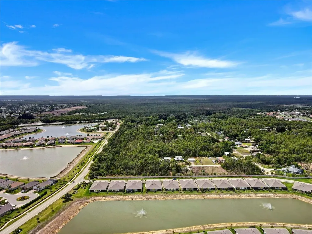 20462 Plumwood Loop North Fort Myers FL 33917