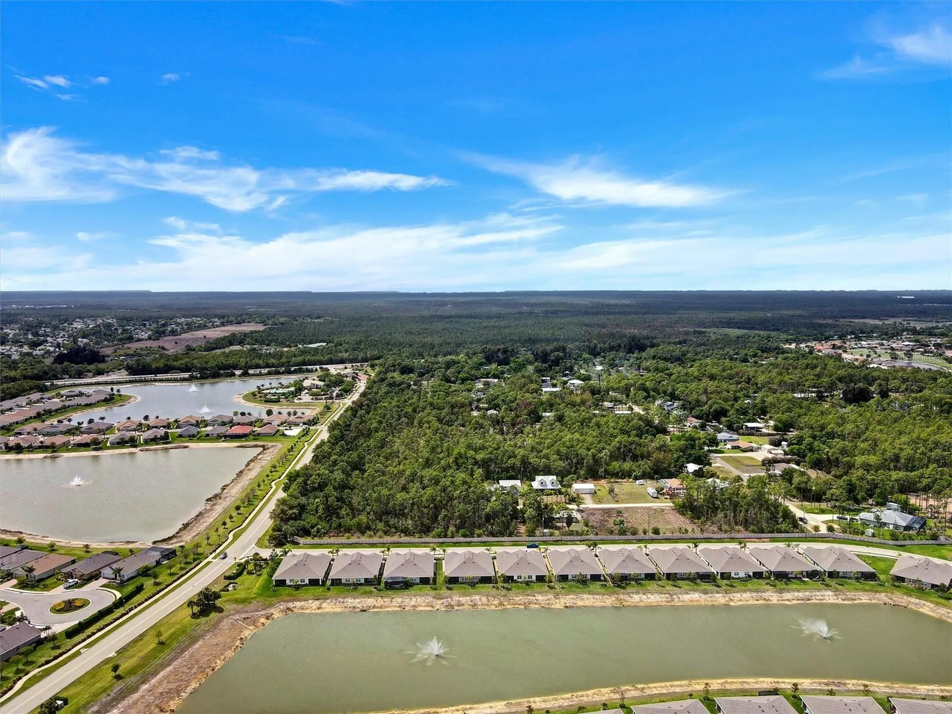 20462 Plumwood Loop North Fort Myers FL 33917