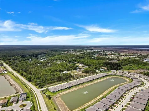 20462 Plumwood Loop North Fort Myers FL 33917