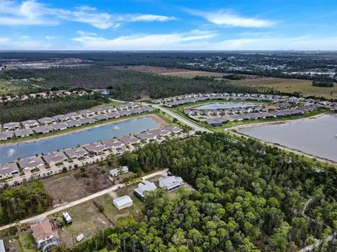 20462 Plumwood Loop North Fort Myers FL 33917