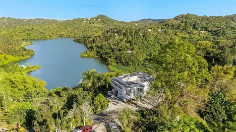 Carretera 742 Km.2.3 Sector Las Villas Bo. Carite Guayama PR 00784