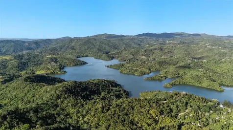 Carretera 742 Km.2.3 Sector Las Villas Bo. Carite Guayama PR 00784