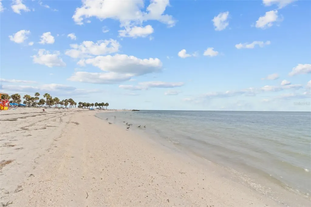 823 Riverside Drive Tarpon Springs FL 34689