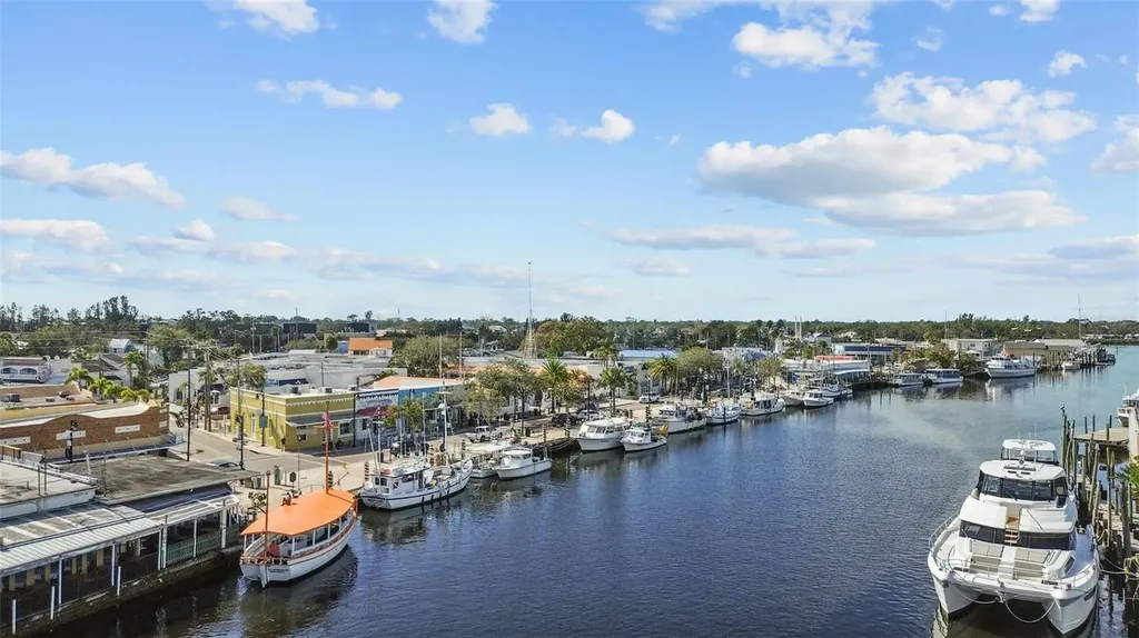 823 Riverside Drive Tarpon Springs FL 34689