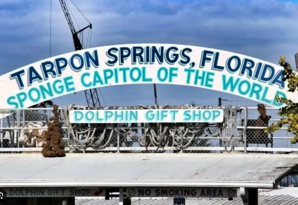 823 Riverside Drive Tarpon Springs FL 34689