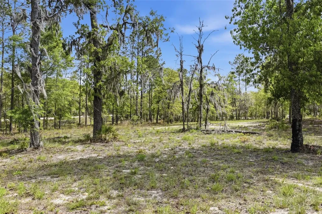 2640 NE 74th Avenue High Springs FL 32643