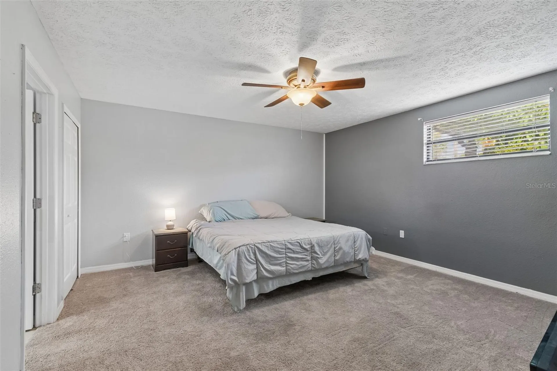 7871 Sycamore Drive New Port Richey FL 34654