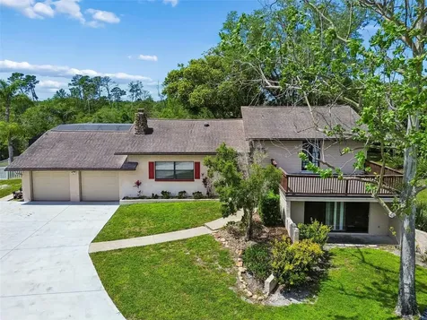 7871 Sycamore Drive New Port Richey FL 34654