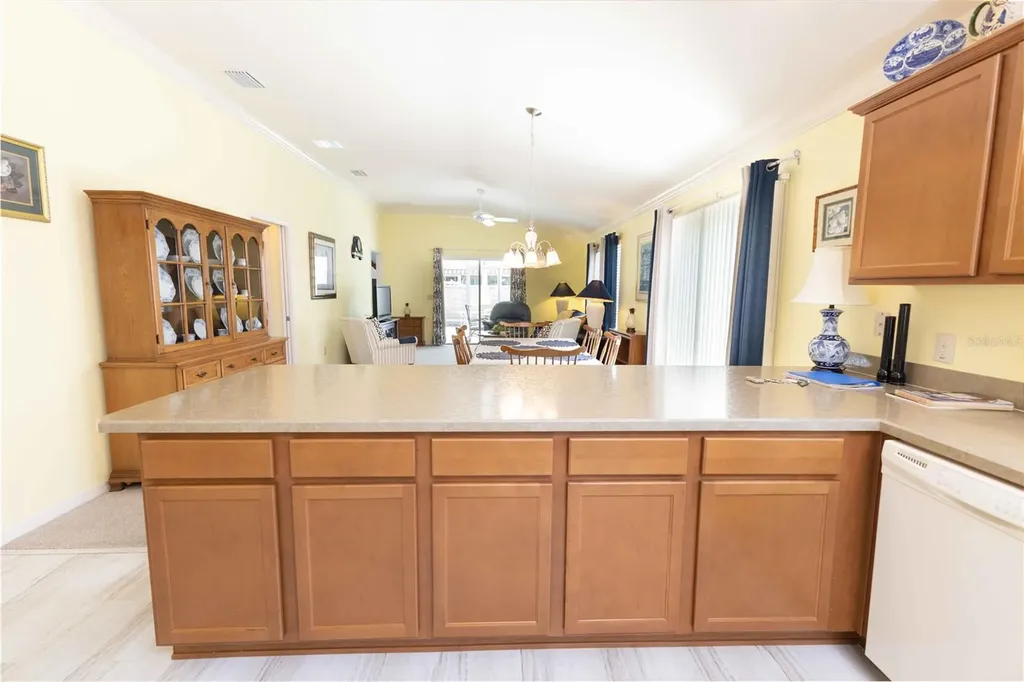 2306 Nackman Place The Villages FL 32162