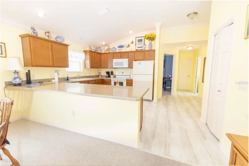 2306 Nackman Place The Villages FL 32162