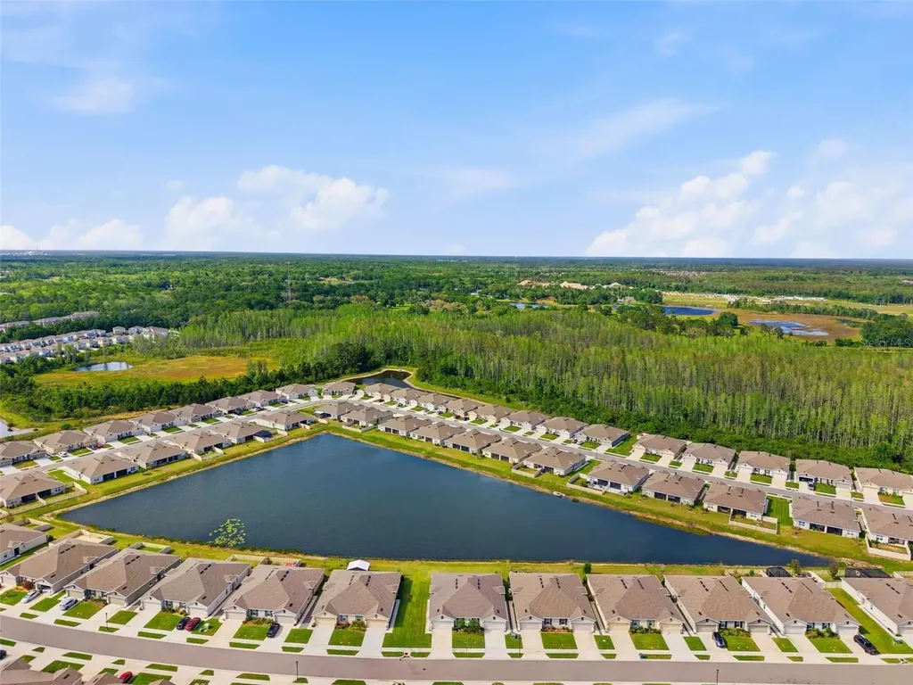 17804 Turning Leaf Circle Land O Lakes FL 34638