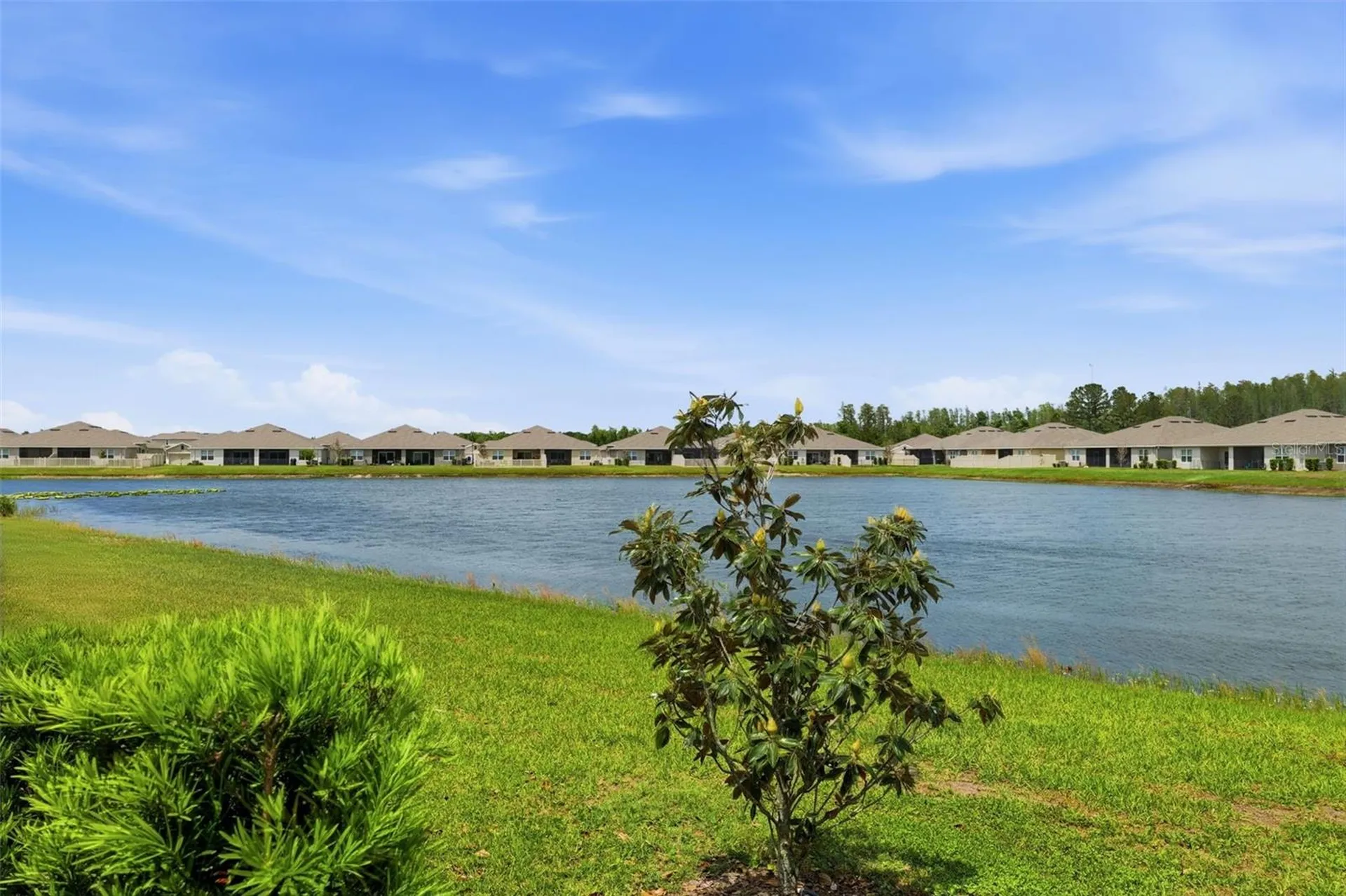17804 Turning Leaf Circle Land O Lakes FL 34638