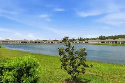 17804 Turning Leaf Circle Land O Lakes FL 34638