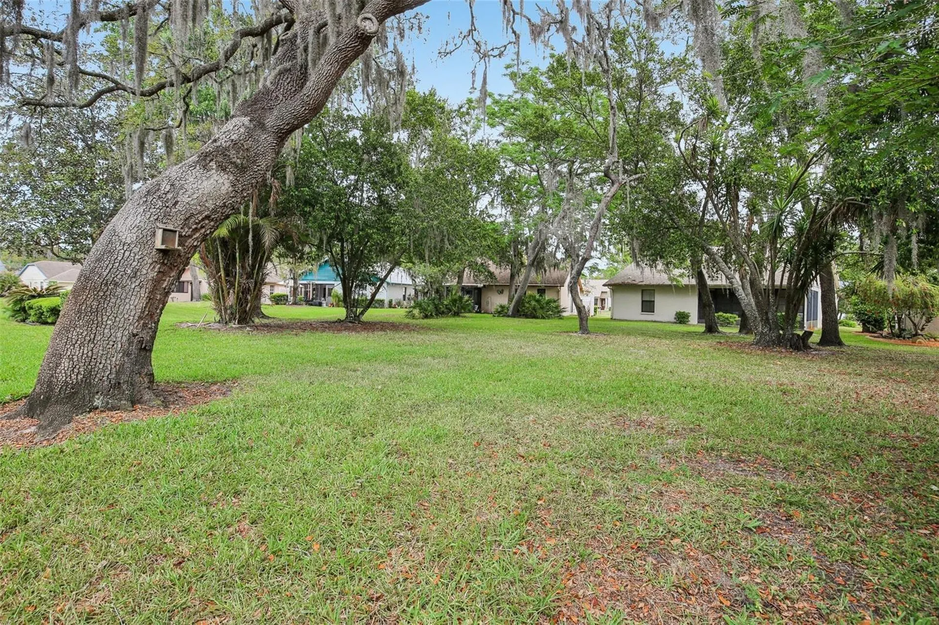 11622 Cocowood Drive New Port Richey FL 34654