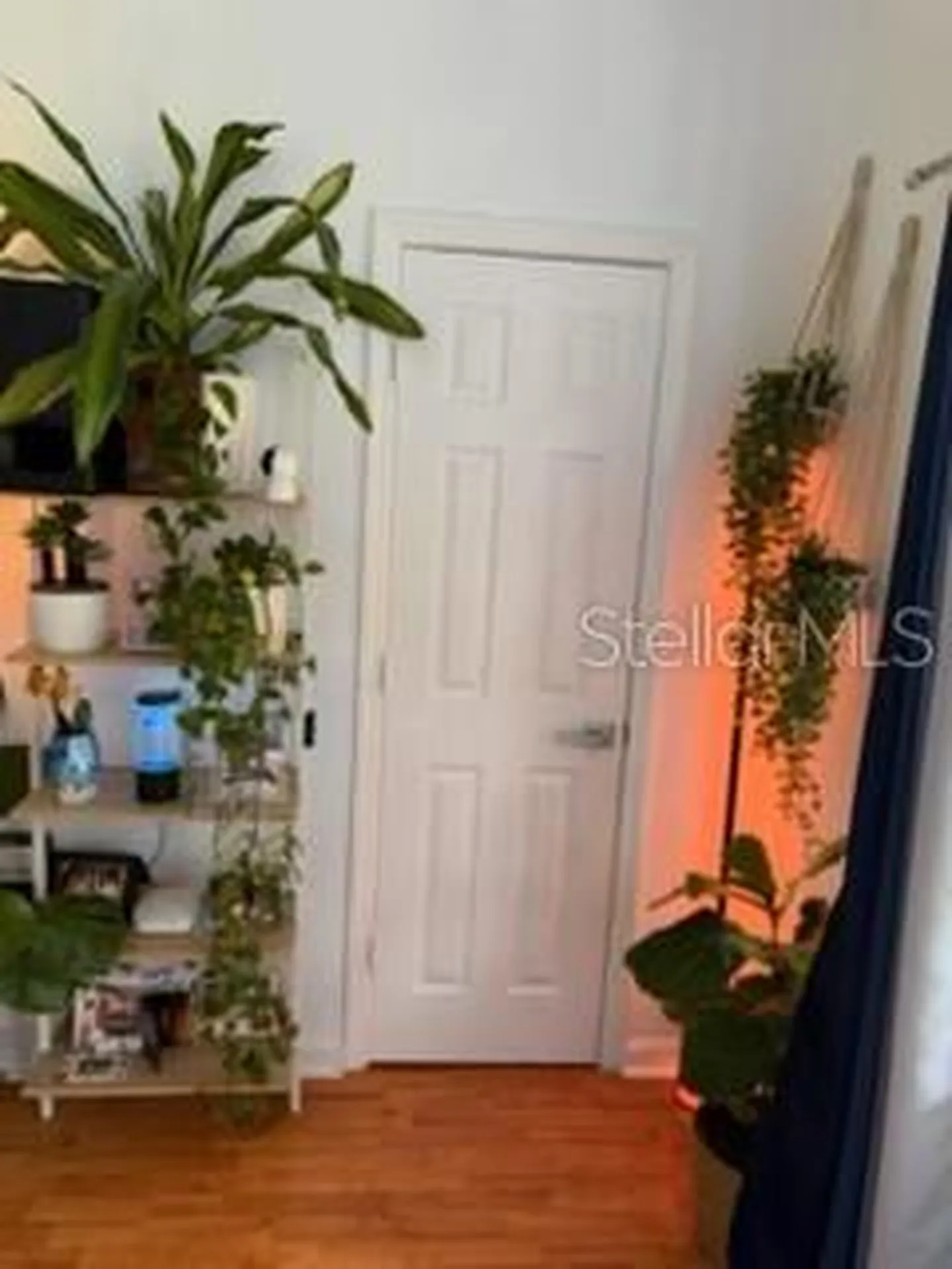 355 Lakepointe Drive Altamonte Springs FL 32701