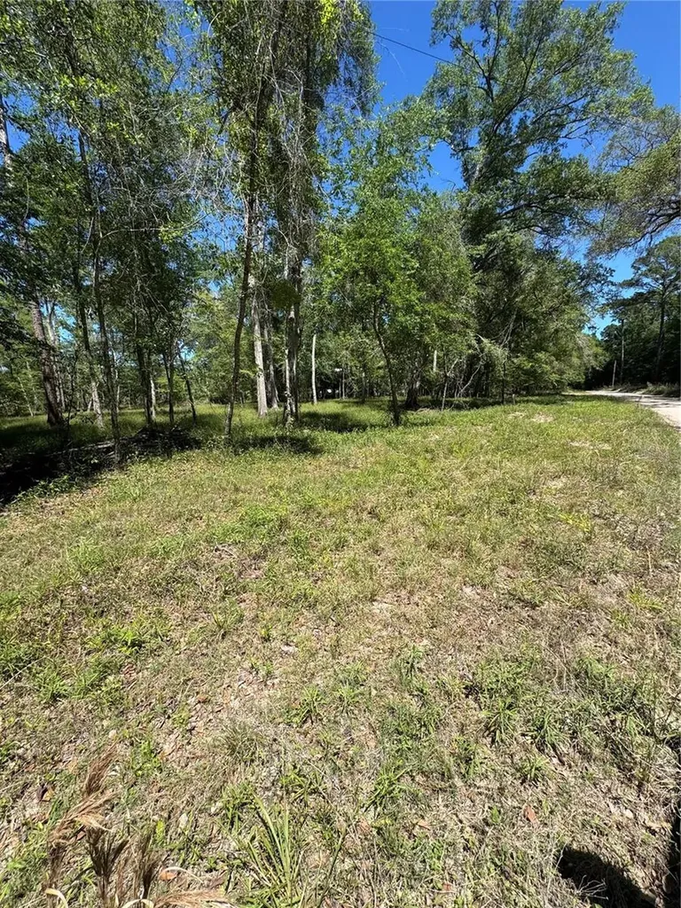 Tbd SW 25 Place Bell FL 32619