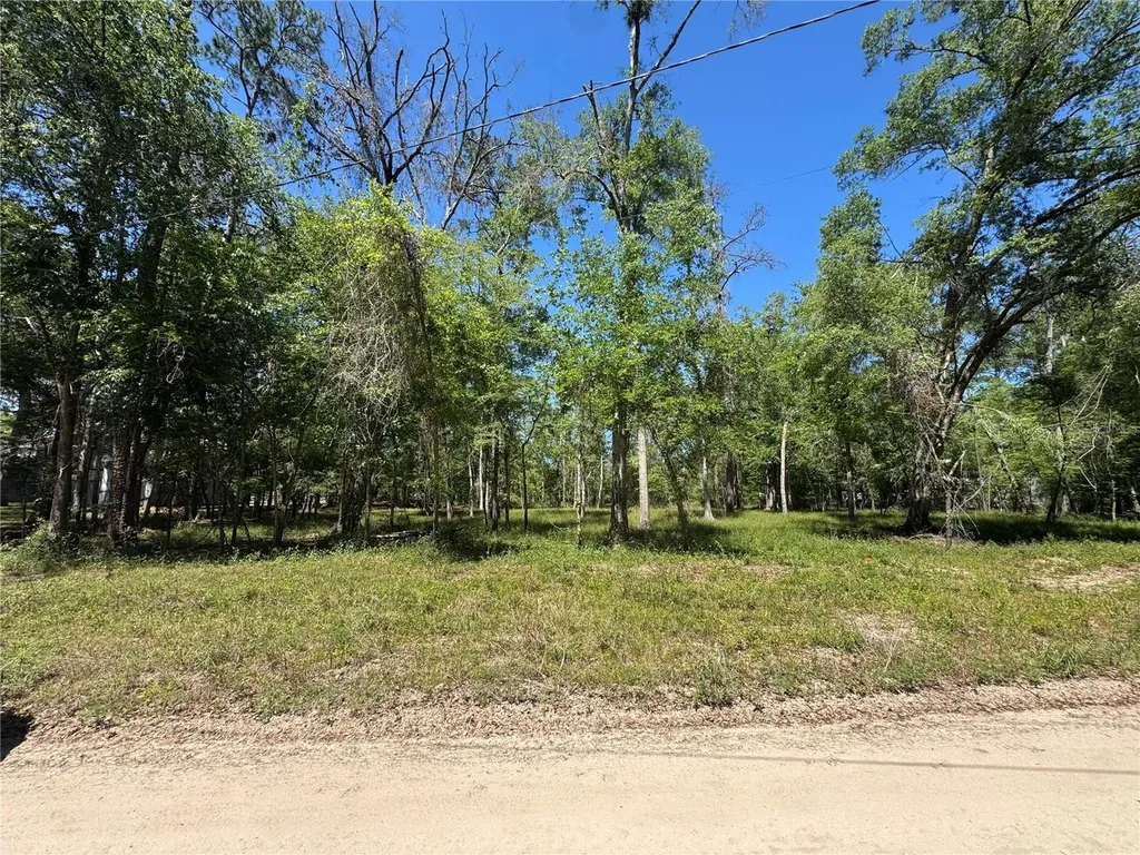 Tbd SW 25 Place Bell FL 32619