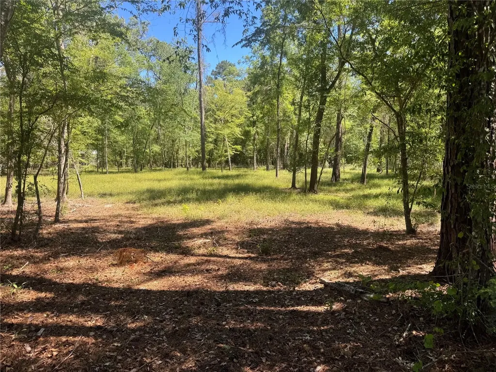 Tbd SW 25 Place Bell FL 32619