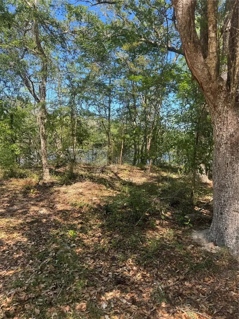 Tbd SW 25 Place Bell FL 32619